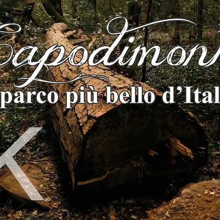 Corte Del Re Dimora Storica Panzió