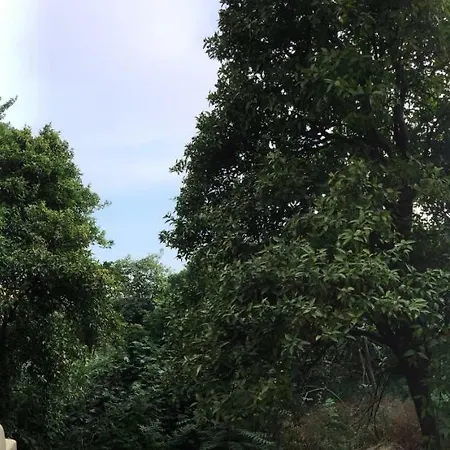 Panzió Corte Del Re Dimora Storica *