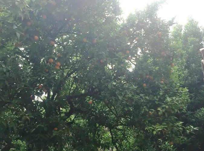 Corte Del Re Dimora Storica Bed and Breakfast