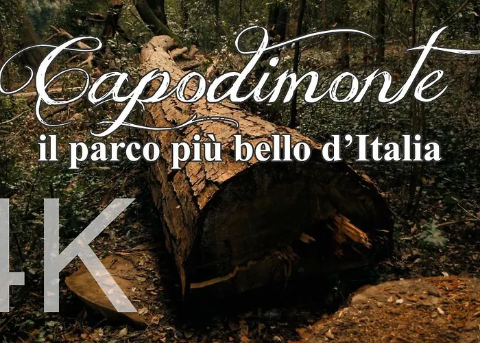 Corte Del Re Dimora Storica Bed and Breakfast